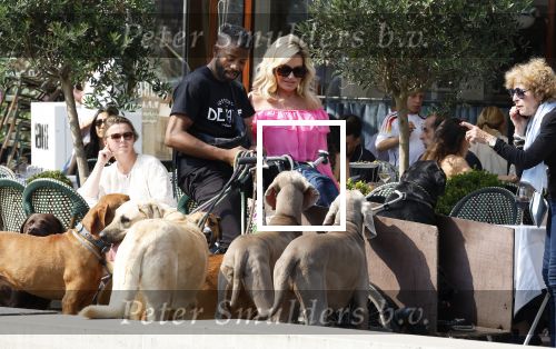 Amsterdam 18 juli 2024
Connie Witteman zit op terras en op dat moment komt de honden fluitseraar voorbij met oa de hond van Connie . Ze ging de hond natuurlijk meteen aaien.