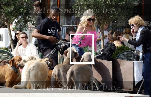 Amsterdam 18 juli 2024
Connie Witteman zit op terras en op dat moment komt de honden fluitseraar voorbij met oa de hond van Connie . Ze ging de hond natuurlijk meteen aaien.
