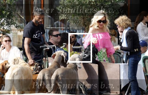 Amsterdam 18 juli 2024
Connie Witteman zit op terras en op dat moment komt de honden fluitseraar voorbij met oa de hond van Connie . Ze ging de hond natuurlijk meteen aaien.
