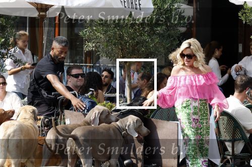 Amsterdam 18 juli 2024
Connie Witteman zit op terras en op dat moment komt de honden fluitseraar voorbij met oa de hond van Connie . Ze ging de hond natuurlijk meteen aaien.