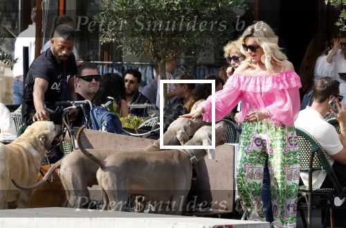 Amsterdam 18 juli 2024
Connie Witteman zit op terras en op dat moment komt de honden fluitseraar voorbij met oa de hond van Connie . Ze ging de hond natuurlijk meteen aaien.