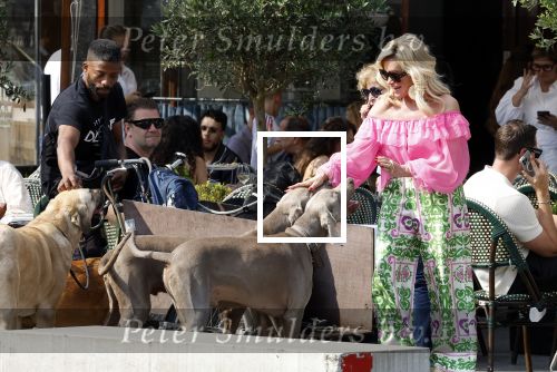 Amsterdam 18 juli 2024
Connie Witteman zit op terras en op dat moment komt de honden fluitseraar voorbij met oa de hond van Connie . Ze ging de hond natuurlijk meteen aaien.