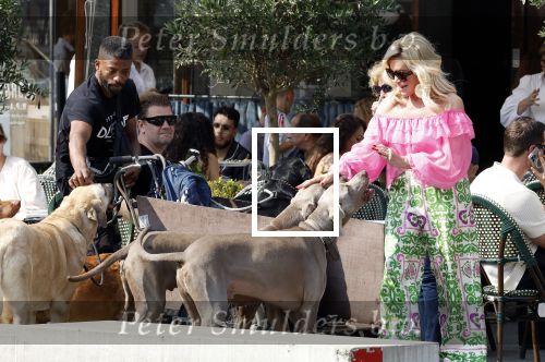 Amsterdam 18 juli 2024
Connie Witteman zit op terras en op dat moment komt de honden fluitseraar voorbij met oa de hond van Connie . Ze ging de hond natuurlijk meteen aaien.