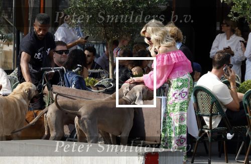 Amsterdam 18 juli 2024
Connie Witteman zit op terras en op dat moment komt de honden fluitseraar voorbij met oa de hond van Connie . Ze ging de hond natuurlijk meteen aaien.