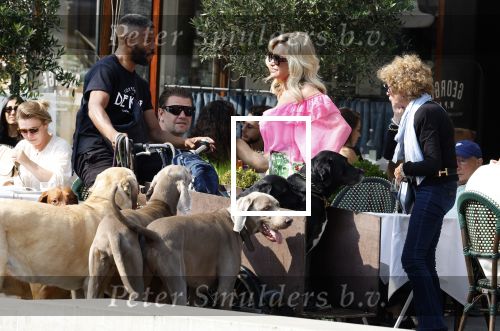 Amsterdam 18 juli 2024
Connie Witteman zit op terras en op dat moment komt de honden fluitseraar voorbij met oa de hond van Connie . Ze ging de hond natuurlijk meteen aaien.