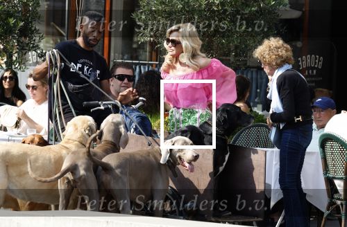 Amsterdam 18 juli 2024
Connie Witteman zit op terras en op dat moment komt de honden fluitseraar voorbij met oa de hond van Connie . Ze ging de hond natuurlijk meteen aaien.