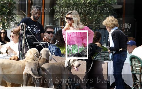 Amsterdam 18 juli 2024
Connie Witteman zit op terras en op dat moment komt de honden fluitseraar voorbij met oa de hond van Connie . Ze ging de hond natuurlijk meteen aaien.