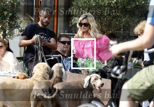 Amsterdam 18 juli 2024
Connie Witteman zit op terras en op dat moment komt de honden fluitseraar voorbij met oa de hond van Connie . Ze ging de hond natuurlijk meteen aaien.