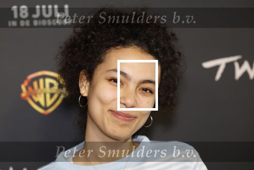 Hilversum 16 juli 2024
Premiere Twisters in bioscoop in Hilversum. Julia Tan met partner