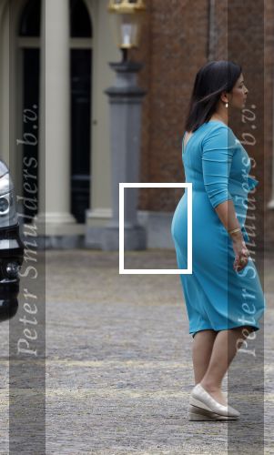 Den Haag 2 juli 2024
Bordesfoto bij Paleis Huis ten Bosch presentatie nieuw kabinet Schoof 1 ; Koning Willem-Alexander, Minister-President Dick Schoof, NSC Judith Uitermark, BBB Mona Keijzer, NSC Caspar Veldkamp, PVV Reinette Klever, VVD Ruben Brekelmans, VVD Eelco Heinen, PVV Dirk Beljaarts, VVD Sophie Hermans, VVD Eelco Heinen PVV Barry Madlener, VVD David van Weel, PVV Marjolein Faber, BBB Femke Wiersma, NSC Eppo Bruins, NSC Eddy van Hijum, PVV Fleur Agema