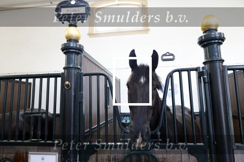 Den Haag 16 juli 2024
Binnen kijken in paleis Noordeinde en de koninklijke stallen die weer open gaan voor publiek .