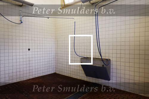 Den Haag 16 juli 2024
Binnen kijken in paleis Noordeinde en de koninklijke stallen die weer open gaan voor publiek .