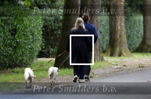 Huizen 6 en n7 juli 2024
Linda de Mol en partner Jeroen Rietbergen wandelend met hun honden rondom hun huis .