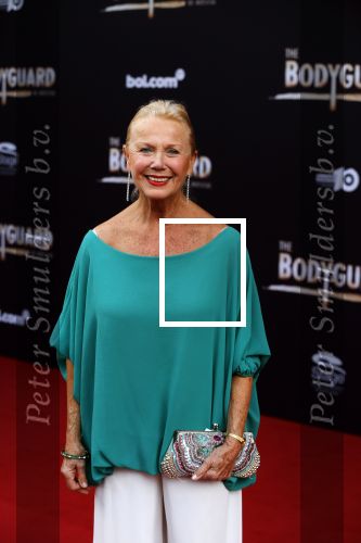 Utrecht 27 september 2015
Premiere the bodyguard met oa Romy Monteiro Mark v Eeuwen  Carolina Dijkhuizen en Patrick Martens.