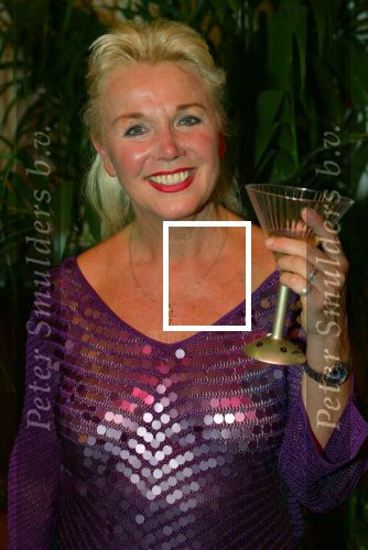 Breda 16 december 2002

Princess kerstborrel  2002
Loekie Knol

Peter Smulders bv