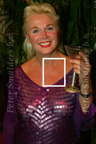 Breda 16 december 2002

Princess kerstborrel  2002
Loekie Knol

Peter Smulders bv