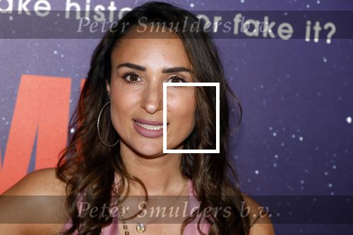 Amsterdam 8 juli 2024
Premiere Fly met to the moon in pathe Arena. Mounira Mansour