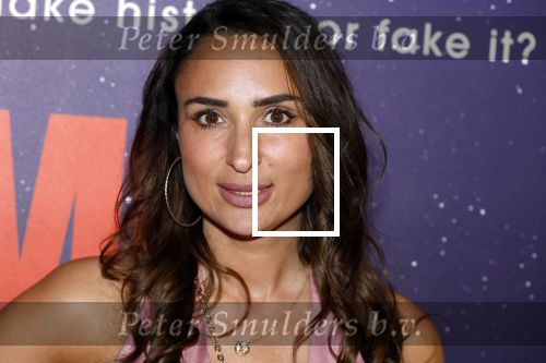 Amsterdam 8 juli 2024
Premiere Fly met to the moon in pathe Arena. Mounira Mansour