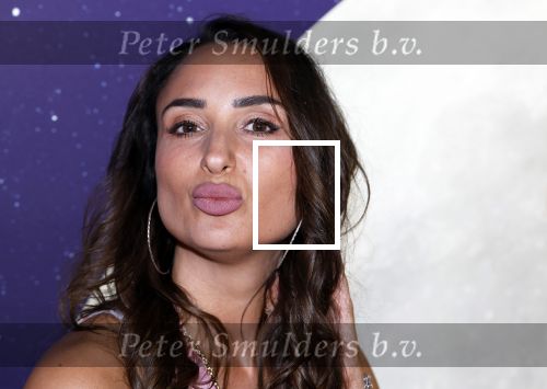 Amsterdam 8 juli 2024
Premiere Fly met to the moon in pathe Arena. Mounira Mansour