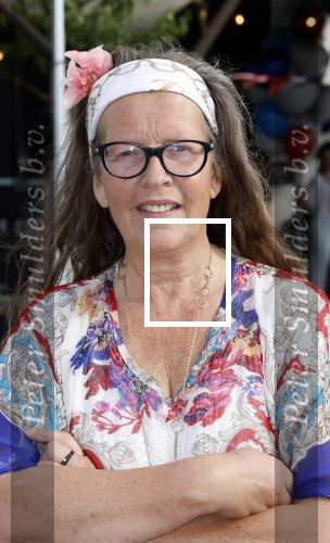 Huizen 14 juli 2024
Presenatie magazine van Nicole des Bouvrie .