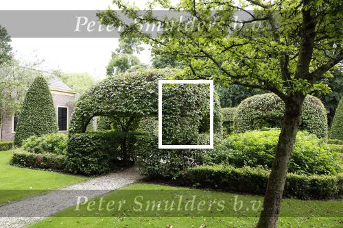 Den Haag 16 juli 2024
Binnen kijken in paleis Noordeinde en de koninklijke stallen die weer open gaan voor publiek . Tuin Paleis Noordeinde