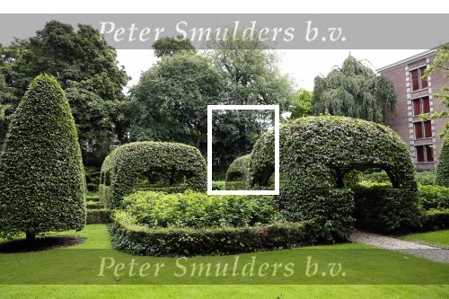 Den Haag 16 juli 2024
Binnen kijken in paleis Noordeinde en de koninklijke stallen die weer open gaan voor publiek . Tuin Paleis Noordeinde