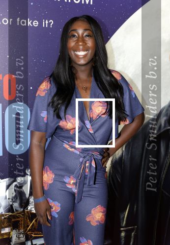 Amsterdam 8 juli 2024
Premiere Fly met to the moon in pathe Arena. Pearl Jozefszoon