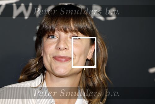 Hilversum 16 juli 2024
Premiere Twisters in bioscoop in Hilversum. Sarah Bannier met ....