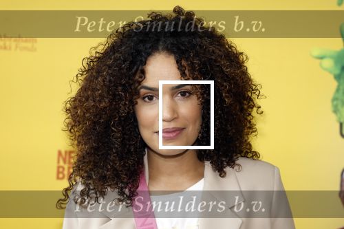 Utrecht 6 juli 2024
Premiere superkrachten voor je hoofd in Kinopolis in Utrecht . Sahron Doorson met dochter