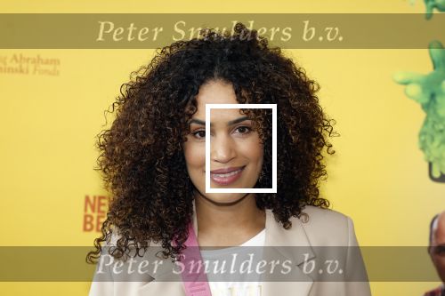Utrecht 6 juli 2024
Premiere superkrachten voor je hoofd in Kinopolis in Utrecht . Sahron Doorson met dochter