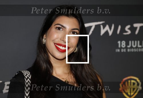Hilversum 16 juli 2024
Premiere Twisters in bioscoop in Hilversum. Stephanie Cuervo