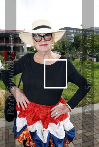 Huizen 14 juli 2024
Presenatie magazine van Nicole des Bouvrie . Viola Holt kwam met haar man Peter