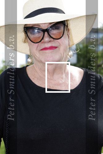 Huizen 14 juli 2024
Presenatie magazine van Nicole des Bouvrie . Viola Holt kwam met haar man Peter