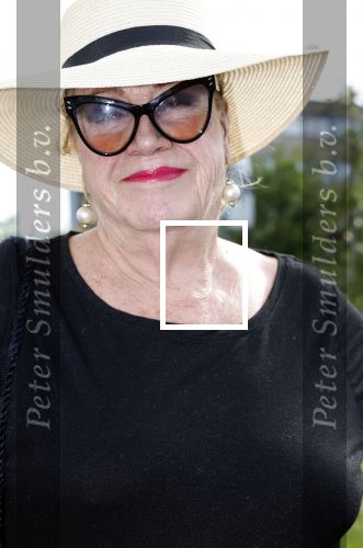 Huizen 14 juli 2024
Presenatie magazine van Nicole des Bouvrie . Viola Holt kwam met haar man Peter