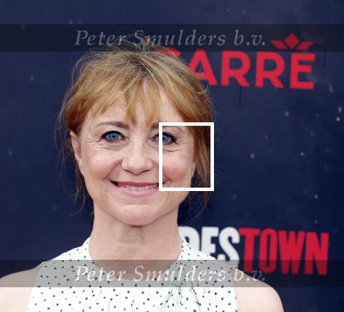 Amsterdsam 29 juni 2025
Premiere Hadestown in Carre. Bianca Krijgsman met partner