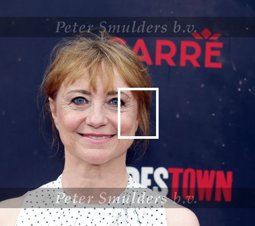 Amsterdsam 29 juni 2025
Premiere Hadestown in Carre. Bianca Krijgsman met partner