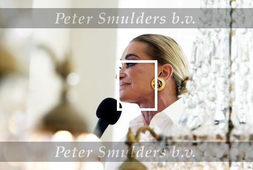 Amsterdam 10 juli 2025
Presentatie Bioteq Vitality van Connie Witteman bij haar thuis .