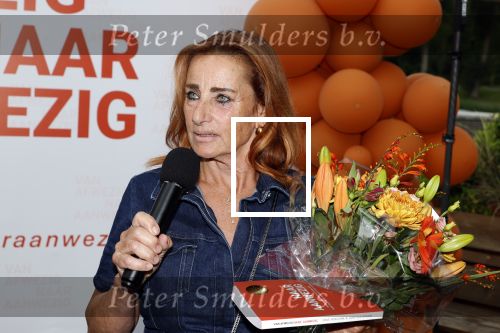 Amsterdam 13 juli 2025
Presentatie boek Dave Roelvink bij restaurant de Bosbaan . Aanwezig oa zijn vriendin Marijn Kuipers vader Dries Roelvink Honoria Roelvink Donny Roelvink en zijn moeder Lucienne Kenter.