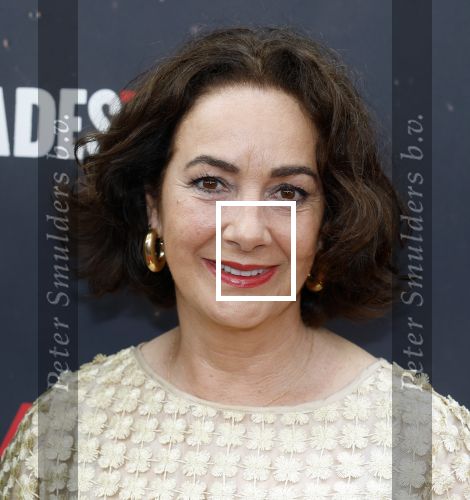 Amsterdsam 29 juni 2025
Premiere Hadestown in Carre. Femke Halsema en Touria Meliani