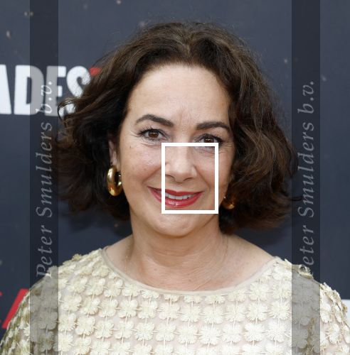 Amsterdsam 29 juni 2025
Premiere Hadestown in Carre. Femke Halsema en Touria Meliani