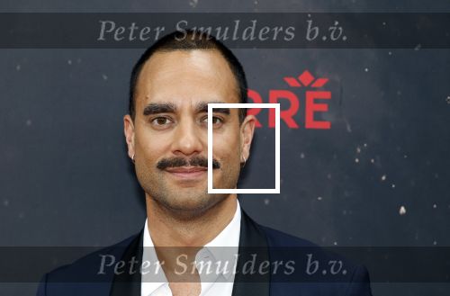 Amsterdsam 29 juni 2025
Premiere Hadestown in Carre. Freek Bartels en ...