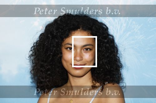 Leidschendam 6 juli 2025
Premiere Smurfen film bij Kinepolis . Aanwezig oa van de stemmencast Roxy Dekker Luuk v Leeuwen Julia Tan en Thorn de Vries .