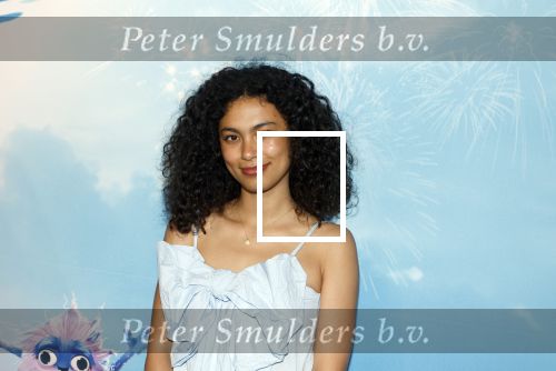 Leidschendam 6 juli 2025
Premiere Smurfen film bij Kinepolis . Aanwezig oa van de stemmencast Roxy Dekker Luuk v Leeuwen Julia Tan en Thorn de Vries .