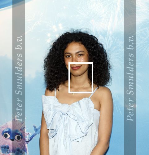 Leidschendam 6 juli 2025
Premiere Smurfen film bij Kinepolis . Aanwezig oa van de stemmencast Roxy Dekker Luuk v Leeuwen Julia Tan en Thorn de Vries .