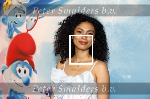 Leidschendam 6 juli 2025
Premiere Smurfen film bij Kinepolis . Aanwezig oa van de stemmencast Roxy Dekker Luuk v Leeuwen Julia Tan en Thorn de Vries .