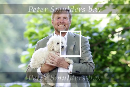 Den Haag 30 juni 2025
Jaarlijkse fotouurtje op huis ten Bosch met aanwezig Koning Willem Alexander Koningin Maxima Prinses Amalia Prinses Alexia Prinses Ariane en hondje Mambo.