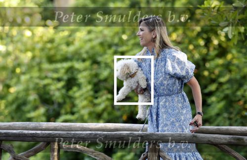 Den Haag 30 juni 2025
Jaarlijkse fotouurtje op huis ten Bosch met aanwezig Koning Willem Alexander Koningin Maxima Prinses Amalia Prinses Alexia Prinses Ariane en hondje Mambo.