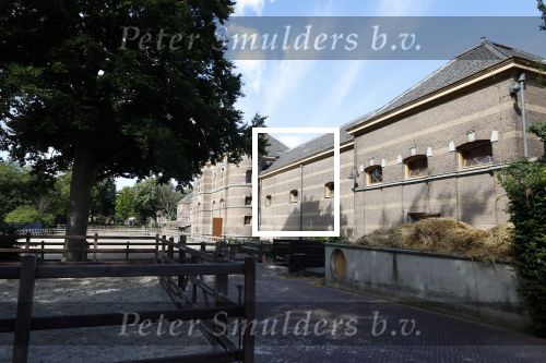 Den Haag 15 juli 2025
Paleis Noordeinde en de koninklijke stallen worden weer opengesteld voor publiek .