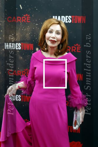 Amsterdsam 29 juni 2025
Premiere Hadestown in Carre. Marijke Helwegen