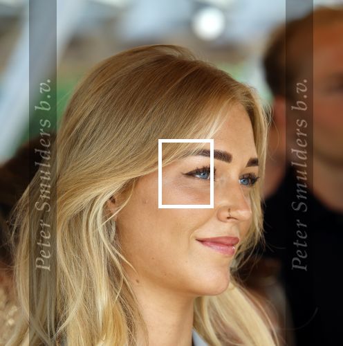 Amsterdam 13 juli 2025
Presentatie boek Dave Roelvink bij restaurant de Bosbaan . Aanwezig oa zijn vriendin Marijn Kuipers vader Dries Roelvink Honoria Roelvink Donny Roelvink en zijn moeder Lucienne Kenter.
